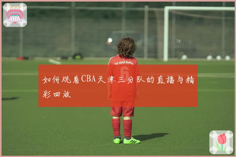 如何观看CBA天津三分队的直播与精彩回放