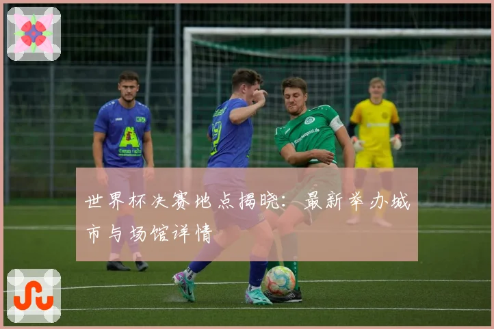 世界杯决赛地点揭晓：最新举办城市与场馆详情