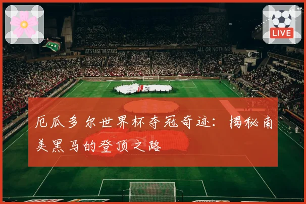 厄瓜多尔世界杯夺冠奇迹：揭秘南美黑马的登顶之路