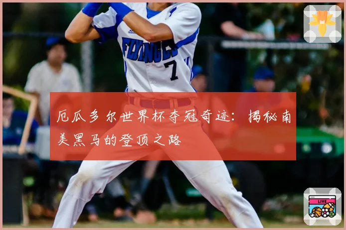 厄瓜多尔世界杯夺冠奇迹：揭秘南美黑马的登顶之路
