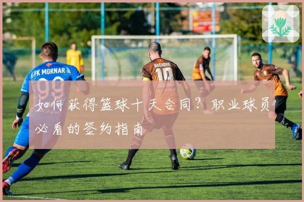 如何获得篮球十天合同？职业球员必看的签约指南