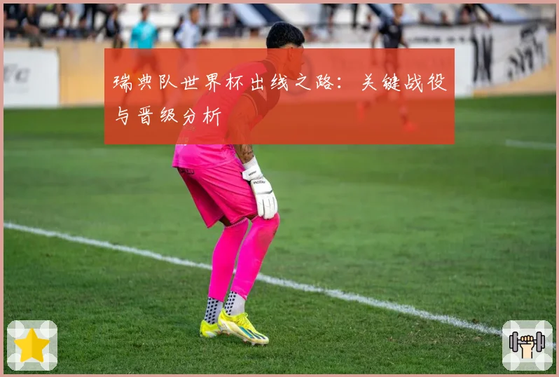 瑞典队世界杯出线之路：关键战役与晋级分析